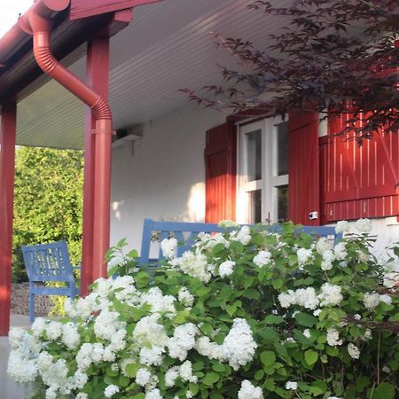 Nagymajor Birding Lodge Tiszacsege Exterior photo